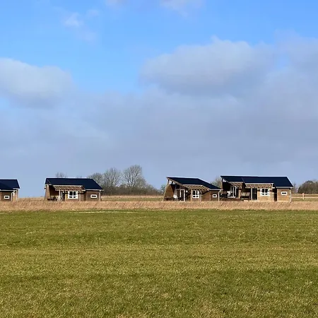 Campsite Dancamps